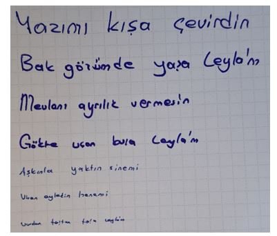 boyut